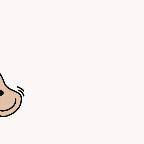 Ears As Wheels Of Bicycle GIF