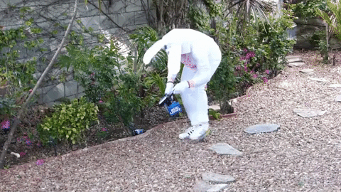 Easter Bunny Bud Light GIF