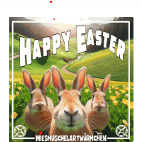 Easter Bunny Sticker GIF