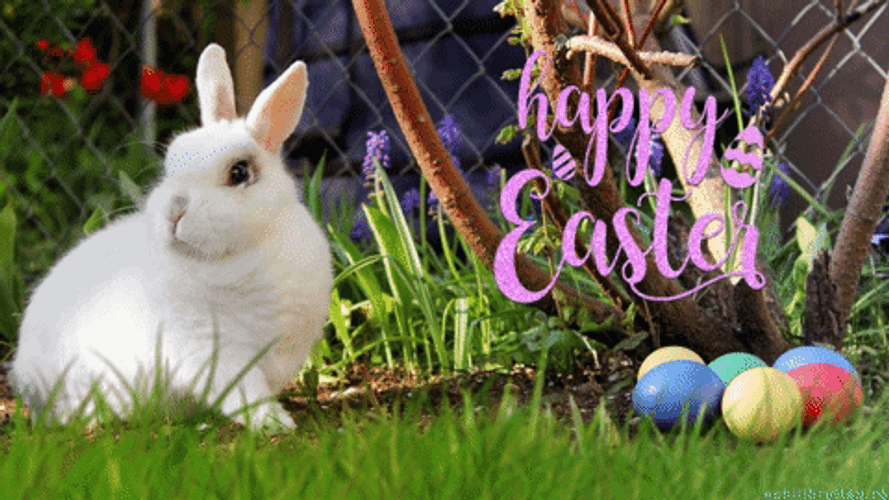 Easter Greeting Card GIF