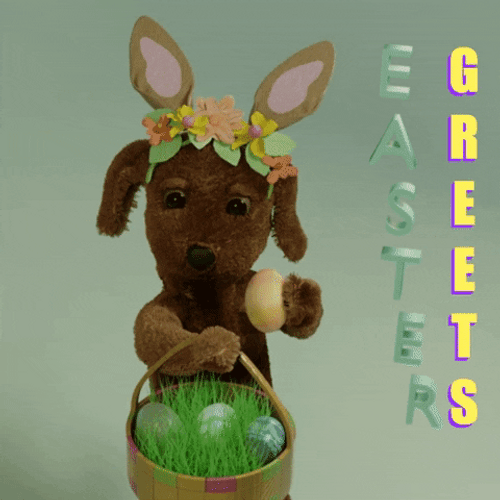 Easter Greets Bunny Dog GIF