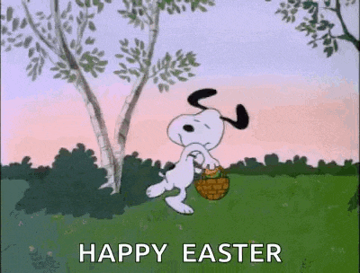 Easter Hunt Gif GIF