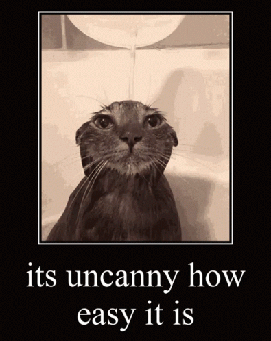 Uncanny Easy Cat Showering GIF