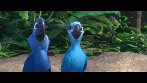 Easy Breezy Animated Dancing Macaws GIF