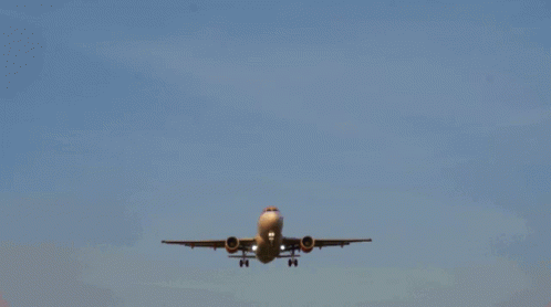 Easy Jet Flying Aircraft Airport GIF