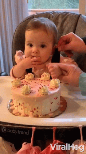 Eating Cake 280 X 498 Gif GIF