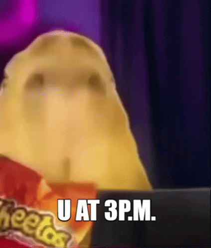 Eating Junk Foods Capybara Meme GIF