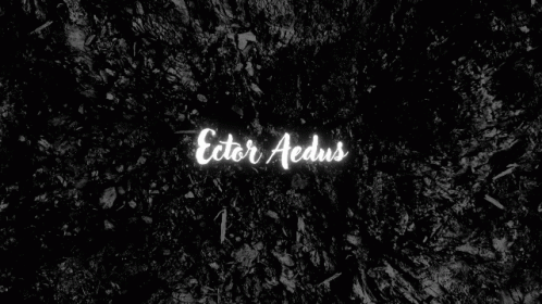 Ector Aedus on Black Background