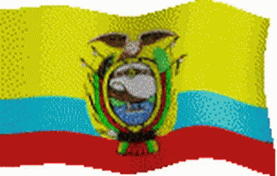 Ecuador Flag Pixel GIF