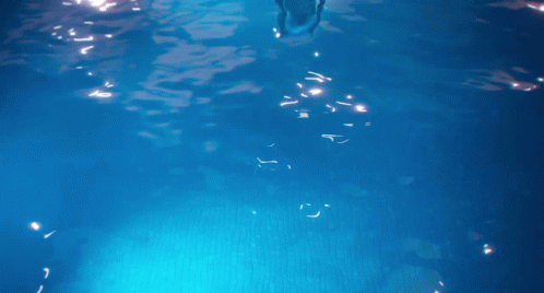 Eddie The Sheep Swimming In The Pool GIF
