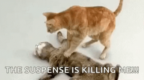 Edge Of My Seat Cat Cpr GIF