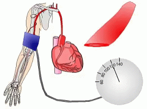 Educational High Blood Pressure Mechanism GIF