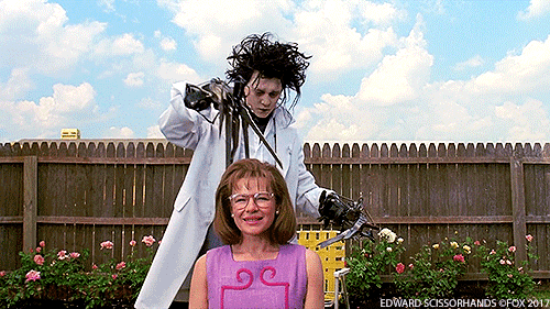 Edward Scissorhands Fictional Movie GIF