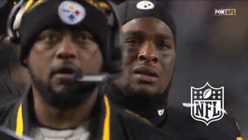 Eek Pittsburgh Steelers GIF