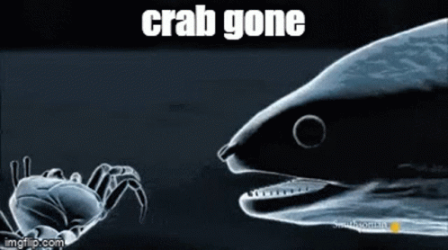 Eel Crab Gone GIF