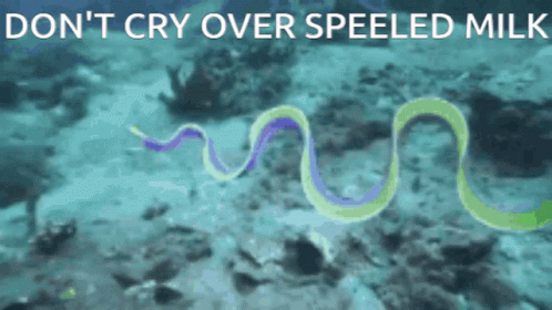 Eel Don't Cry Over Speeled Milk GIF