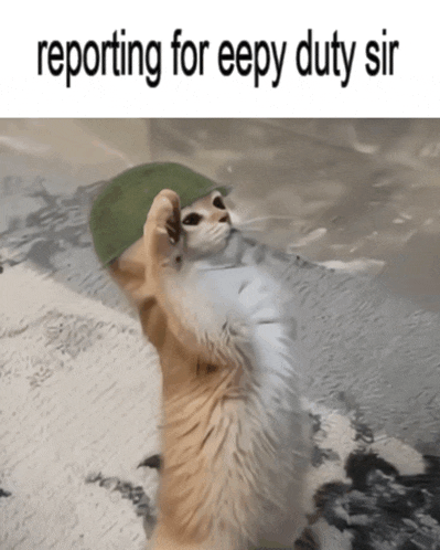 Eepy Duty Meme GIF