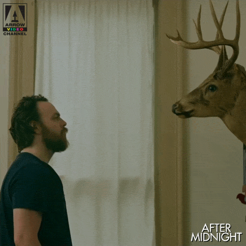 Eerie Stare Down After Midnight GIF