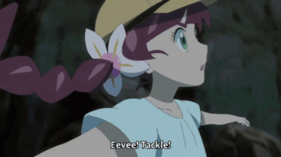 Eevee Pokemon Air Spin Tackle Attack GIF