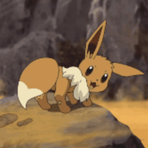 Eevee Pokemon Brush Dusty Tail Anime GIF