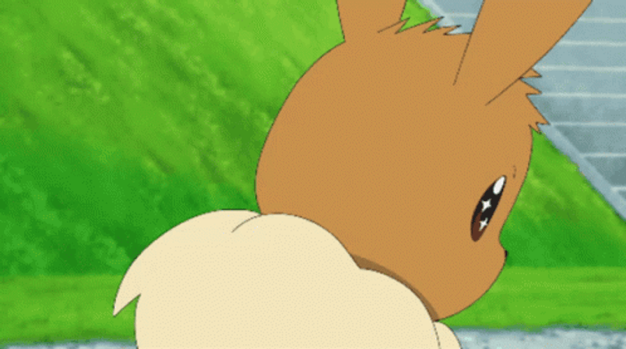 Eevee Pokemon Happy Sparkling Eyes Turn Around GIF