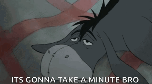 Eeyore Eyes Closed Gonna Take a Minute Bro