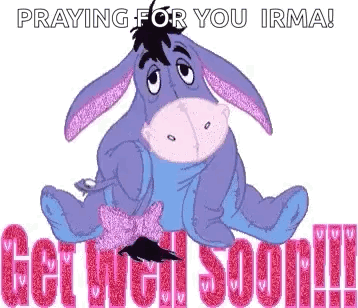 Eeyore Praying Get Well Soon Irma