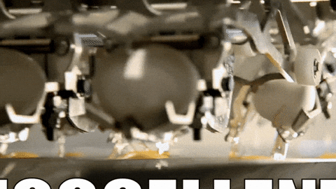 Egg Laying King Mass Process GIF
