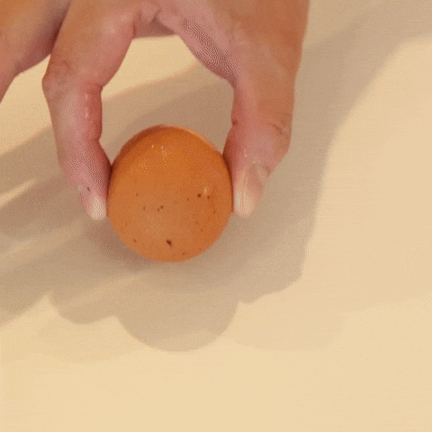 Egg Laying King Organic Hand Smash GIF