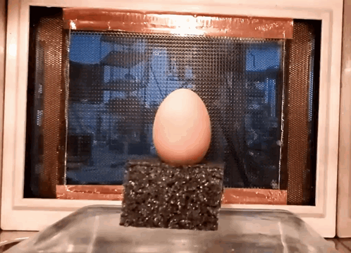 Egg Sitting on Black Foam