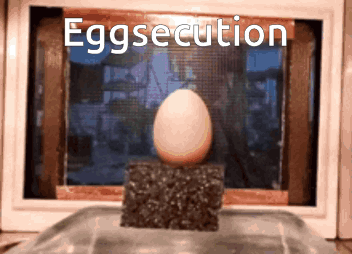 Egg with Eggsecution Text