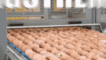 Eggstreme Egg Factory GIF