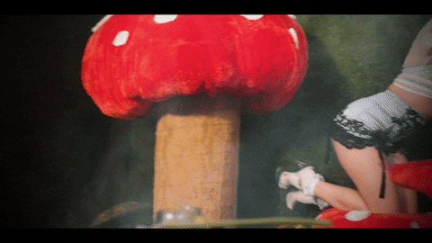 Egirl Mushroom Dance Floor GIF