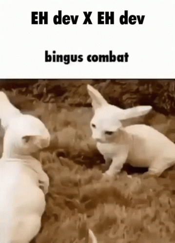 Eh Bald Devon Rex Kitties Fighting GIF