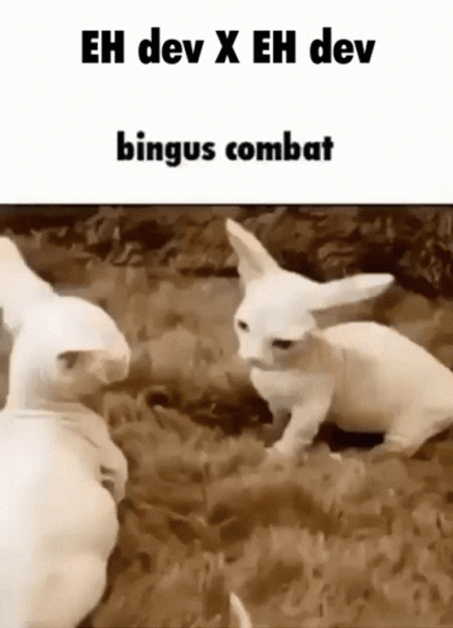 Eh Bald Devon Rex Kitties Fighting GIF