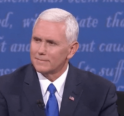 Eh Mike Pence Eyebrow Twitch GIF
