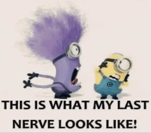 Eid Mubarak Meme GIF