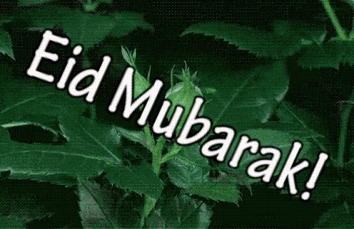 Eid Mubarak on Green Background