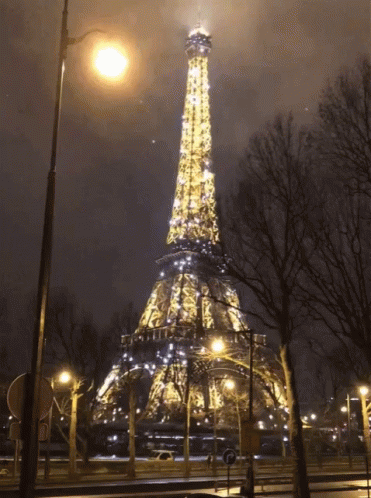 Eiffel Tower France Paris GIF