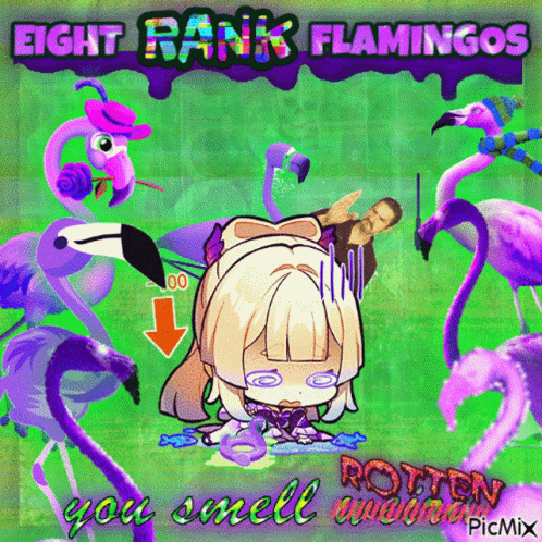Eight Rank Flamingos