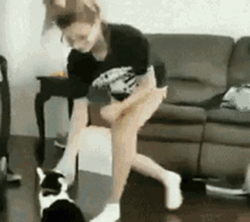El Gato Meme Attack A Girl GIF