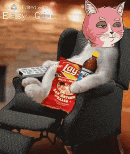 El Gato Meme Chilling On A Chair GIF