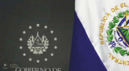 El Salvador Flag Video GIF