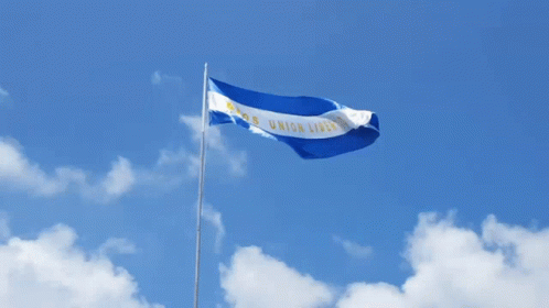 El Salvador Long Flag GIF