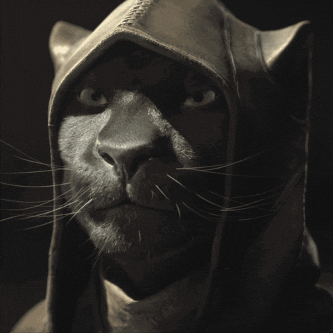 Elder Scrolls Khamira Closeup GIF
