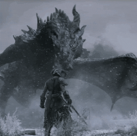 Elder Scrolls Laat Dovahkiin Facing Dragon GIF
