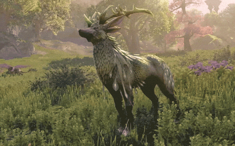 Elder Scrolls Summerset Indrik GIF