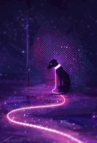 Elderly Woman In Purple Coat Playing With Dog In Field GIF
