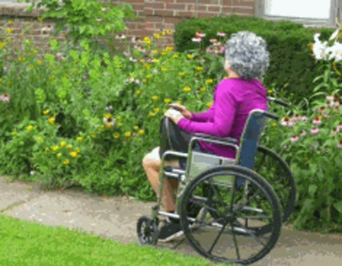 Elderly Woman in Wheelchair Sitting in Front of Flowers