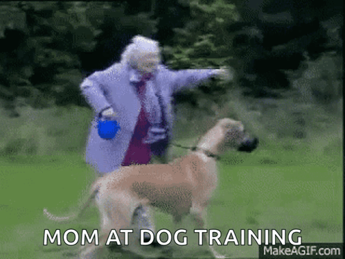 Elderly Woman Playing With Dog Mom at Dog Training